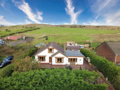 Three Estate Agents