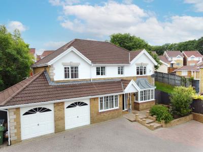 Three Estate Agents